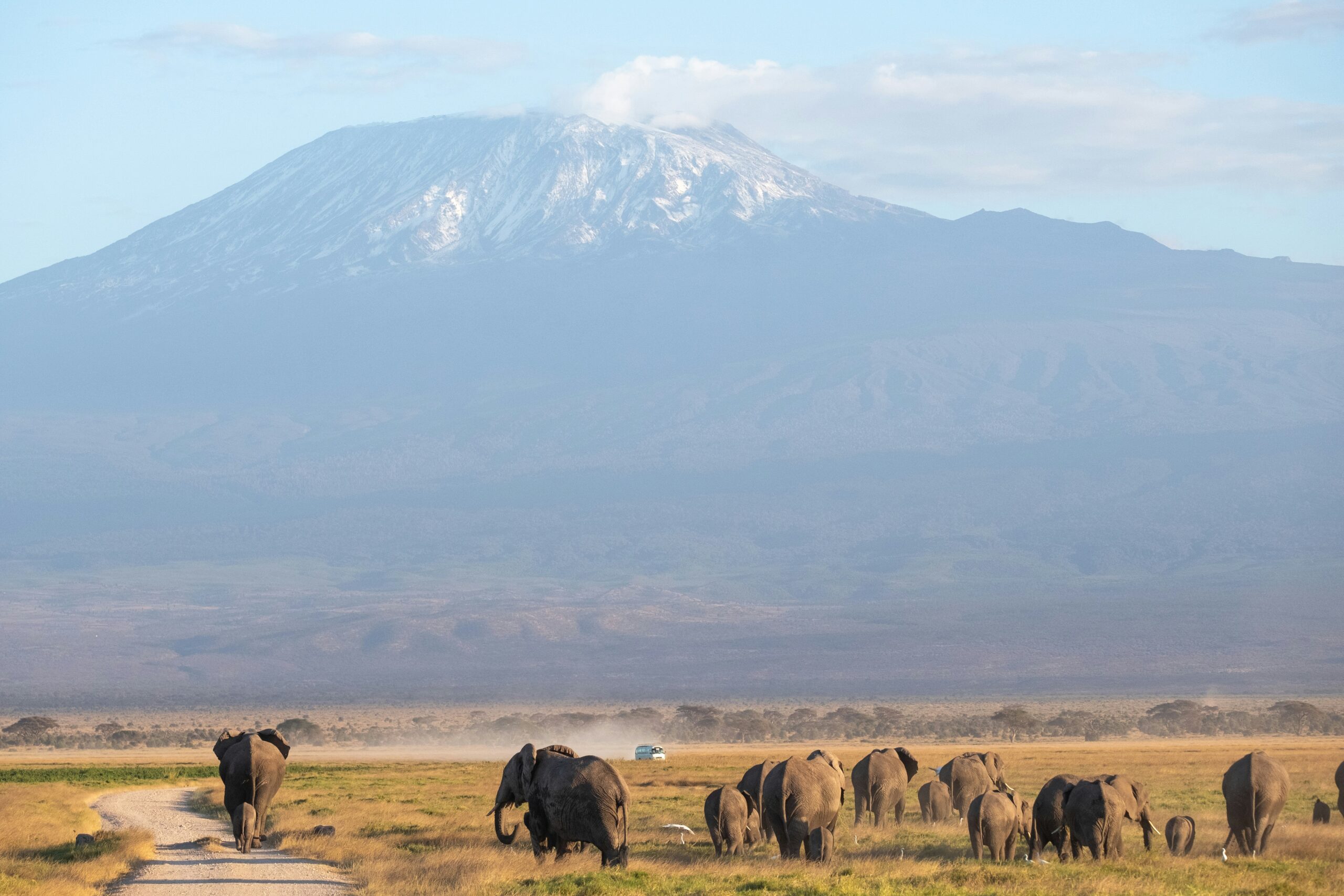 Amboseli
