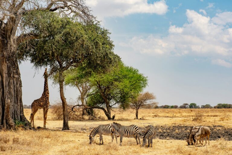 Laikipia