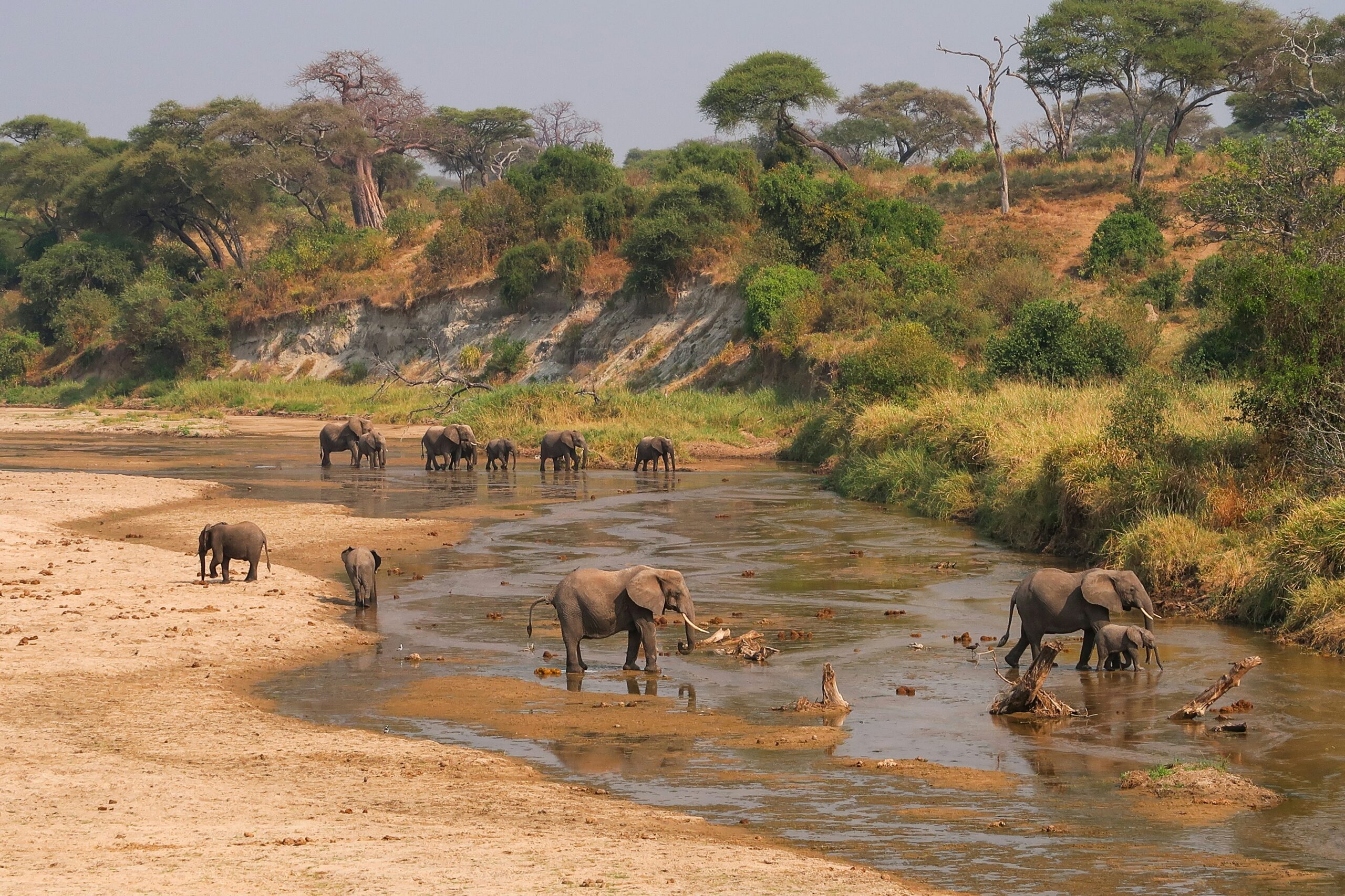 Tsavo